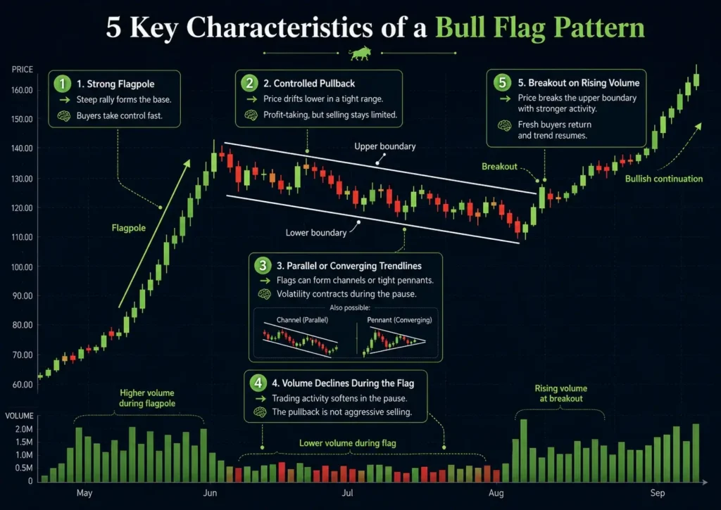 Bull flag chart illustrating five key characteristics: a strong flagpole, controlled pullback, parallel or converging trendlines, declining volume during consolidation, and a breakout on rising volume.